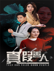 无声的证言第十五季